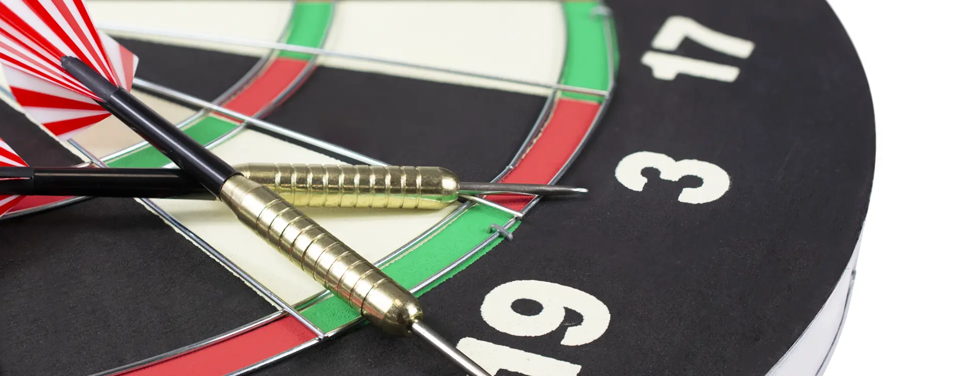 Darts Harrows Champion Family (Black)