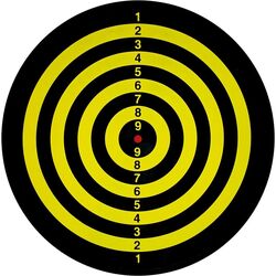 Dart 2in1 Winmau Family (Black) Thumb