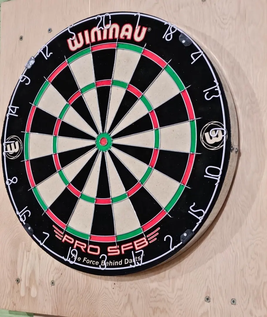 Darts Winmau Pro SFB (Black)