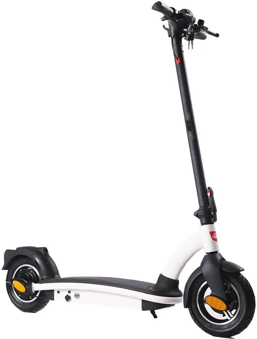 Trotineta electrica PB 1039534 (White/Black)