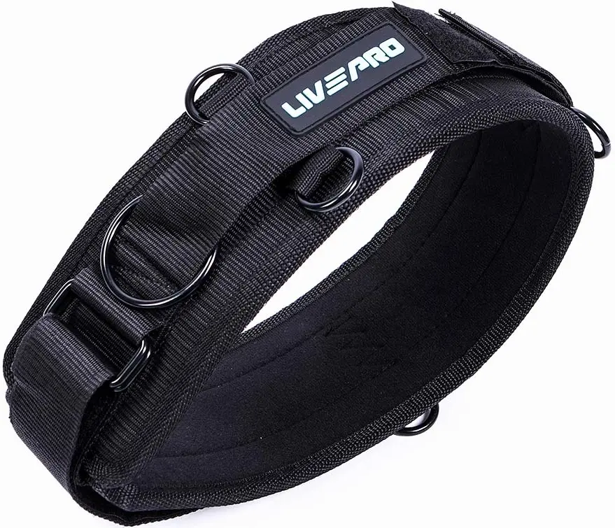 Echipament de antrenament pentru arte martiale LivePro LP8425