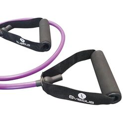 Expander Sveltus 3902 (Purple) Thumb