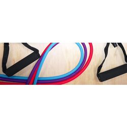 Expander Sveltus 3902 (Purple) Thumb