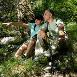 Треккинговые палки Masters Scout (Arctic Bue/Blue) Thumb