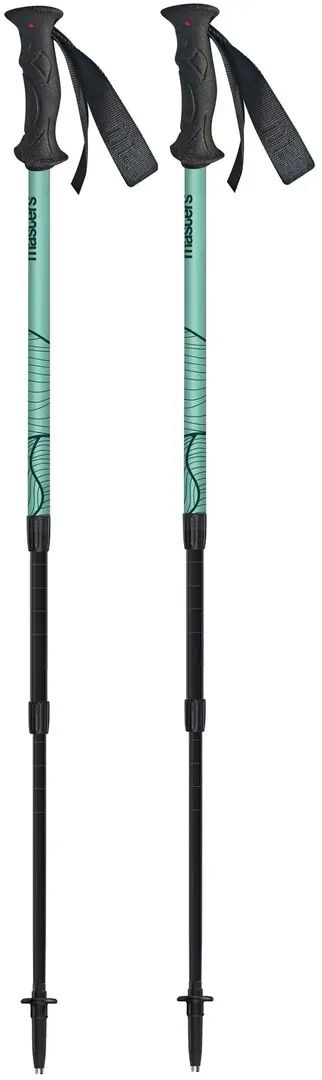 Треккинговые палки Masters Scout (Arctic Bue/Blue)