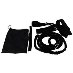 Coarda elastica viteza Dayu Fitness DY-AB-118 250-500cm (Black)