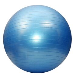 Fitball Dayu Fitness DY-GB-070-55 55cm (Blue)