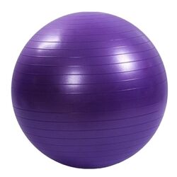 Fitball Dayu Fitness DY-GB-070-55 55cm (Purple)