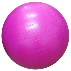 Fitball Dayu Fitness DY-GB-070-55 (Pink)