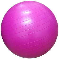 Fitball Dayu Fitness DY-GB-070-75 (Pink)