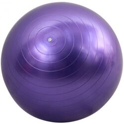 Fitball Dayu Fitness DY-GB-070-75 (Purple)