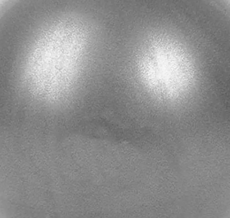 Фитбол Dayu Fitness DY-GB-073 2kg (Gray) - 2