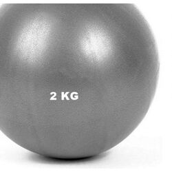 Фитбол Dayu Fitness DY-GB-073 2kg (Gray) Thumb