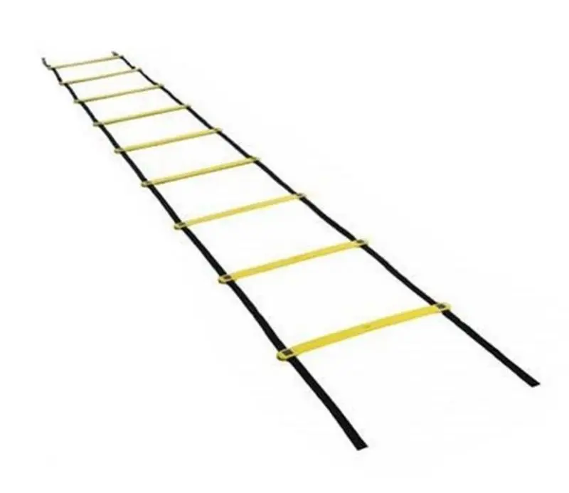 Scara de antrenament Dayu Fitness DY-AB-202 5.8m (Black/Yellow)