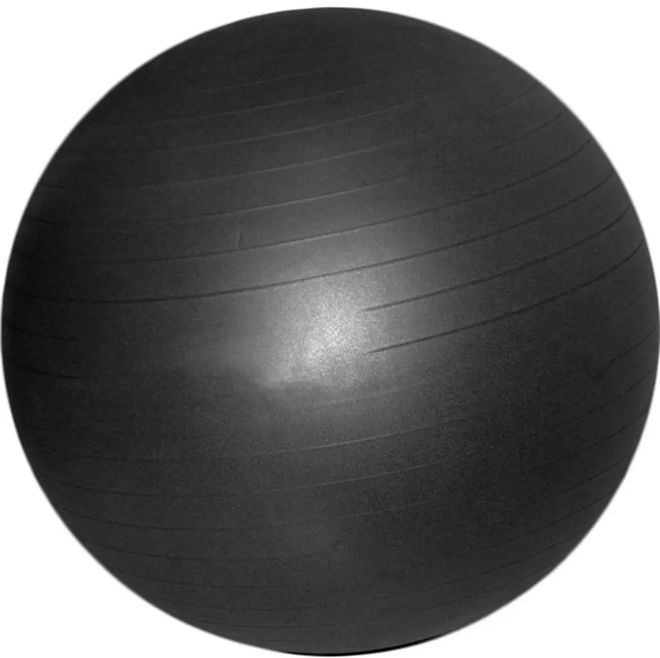 Fitball DHS 55cm (Black) - 2