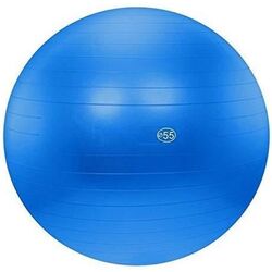 Fitball DHS 55cm (Blue)