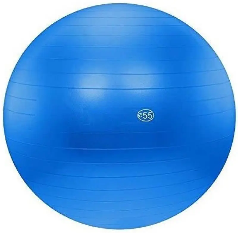 Fitball DHS 55cm (Blue)