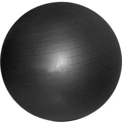Fitball DHS 65cm (Black) Thumb