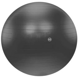 Fitball DHS 65cm (Black)