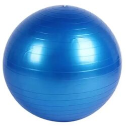 Fitball DHS 65cm (Blue) Thumb