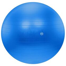 Fitball DHS 65cm (Blue)