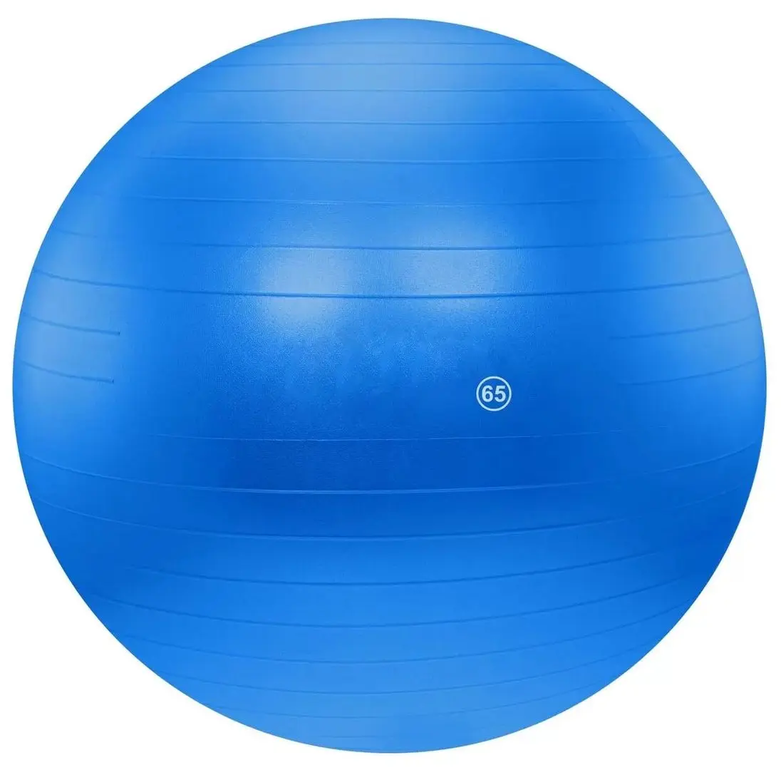 Fitball DHS 65cm (Blue)