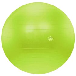 Fitball DHS 75cm (Green)