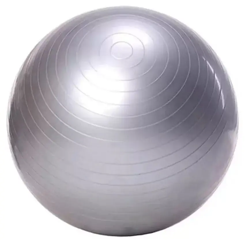 Fitball DHS 85cm (Silver) - 2