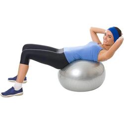 Fitball DHS 85cm (Silver) Thumb