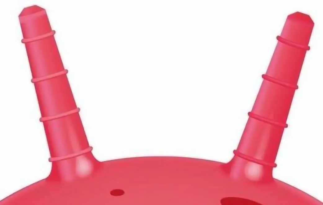 Fitball Eddy Toys 1064345 (Pink)