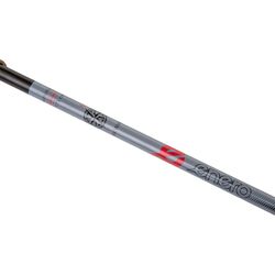 Треккинговые палки Enero 1038605 (Black/Grey) Thumb