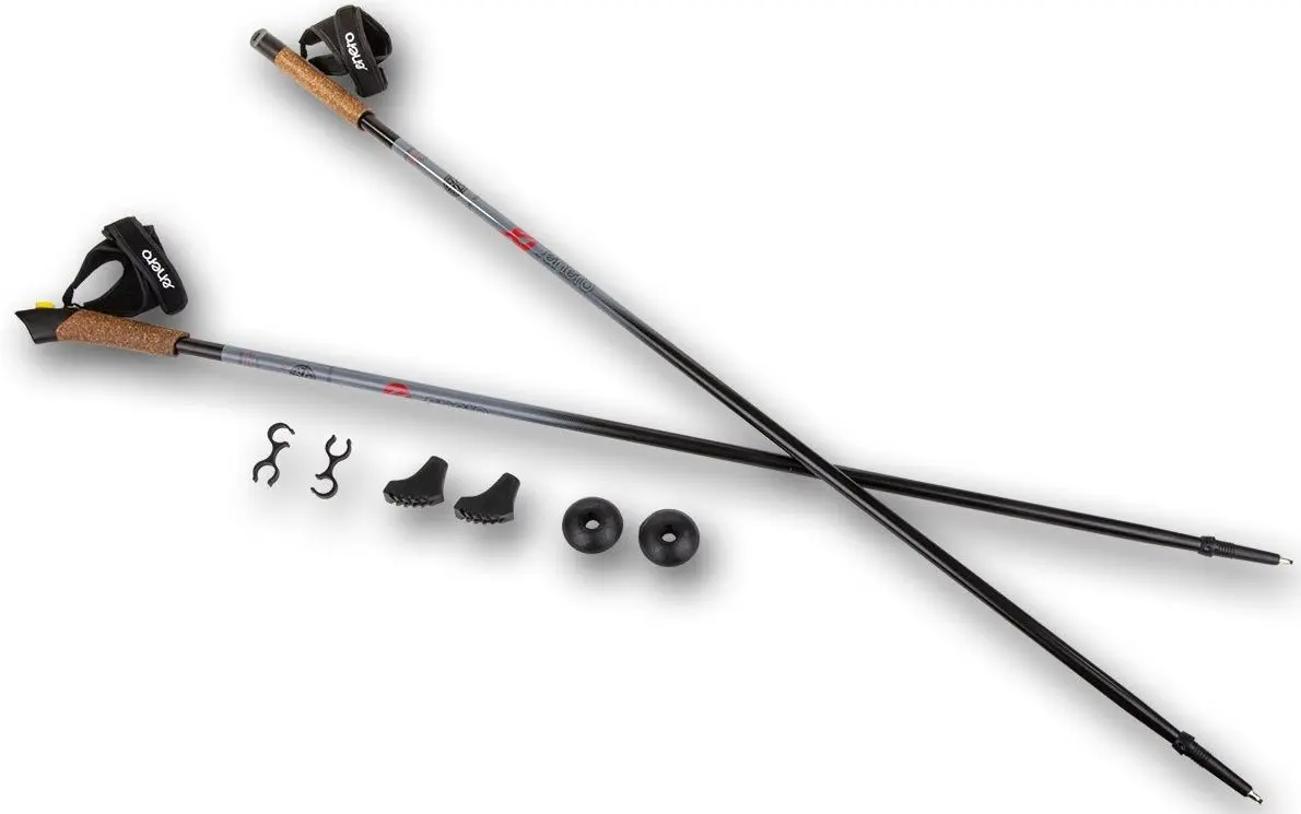 Треккинговые палки Enero 1038605 (Black/Grey)