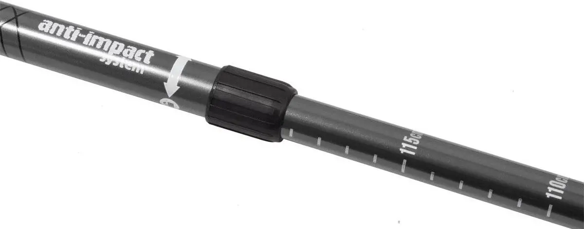 Треккинговые палки Enero Classic (Grey/Black) - 4