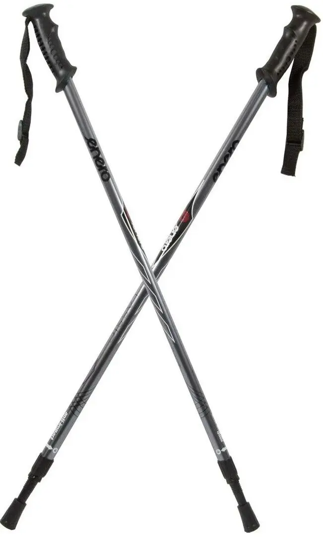 Треккинговые палки Enero Classic (Grey/Black)