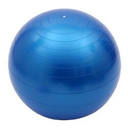 Фитбол Essa Toys D60см