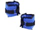 Утяжелители для рук и ног Gotel F35 2x1kg (Blue)