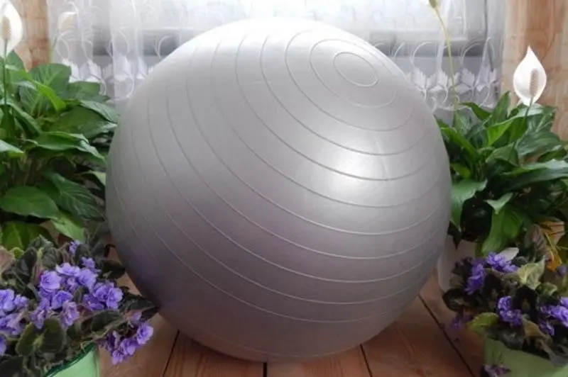 Fitball Hiperlion FIT-BALL 65cm (Gray)