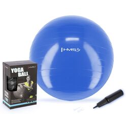 Fitboll Hms YB01 55cm (Blue) Thumb