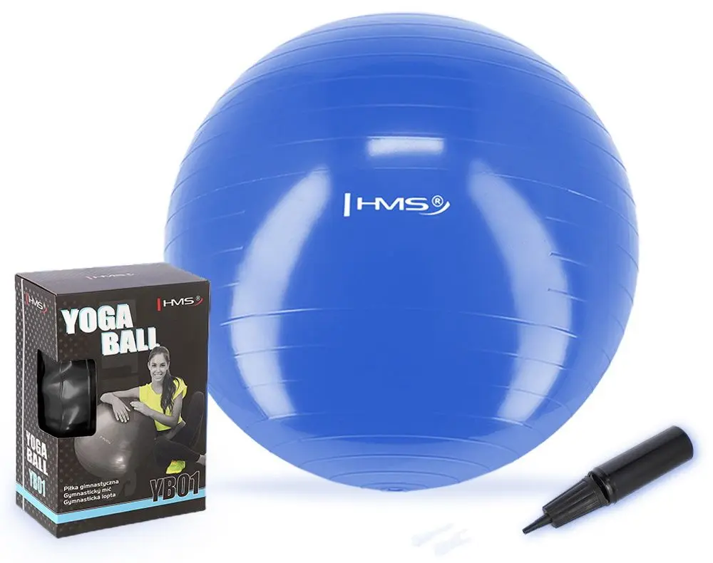 Fitboll Hms YB01 55cm (Blue) - 2