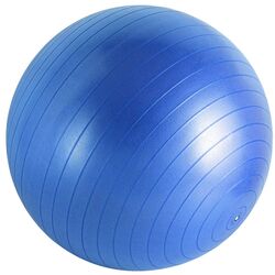 Fitboll Hms YB01 55cm (Blue)