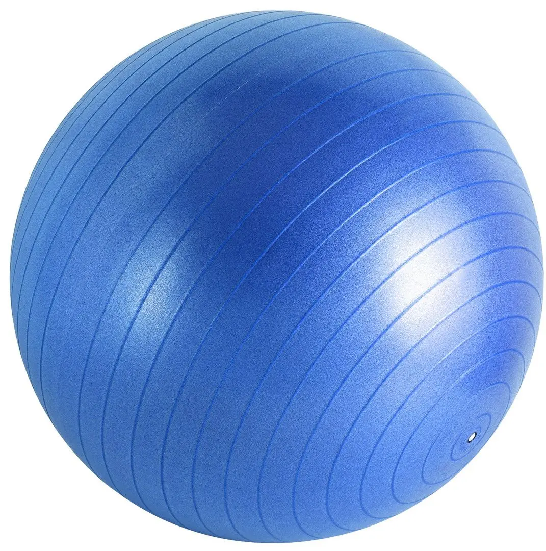 Fitboll Hms YB01 55cm (Blue)