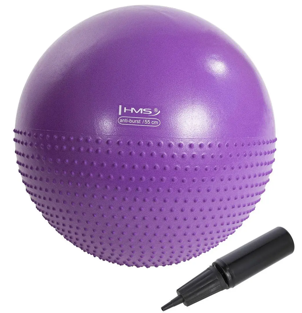 Fitball Hms YB03 55cm (Violet) - 2