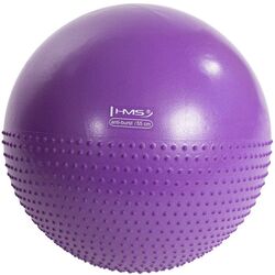 Fitball Hms YB03 55cm (Violet)