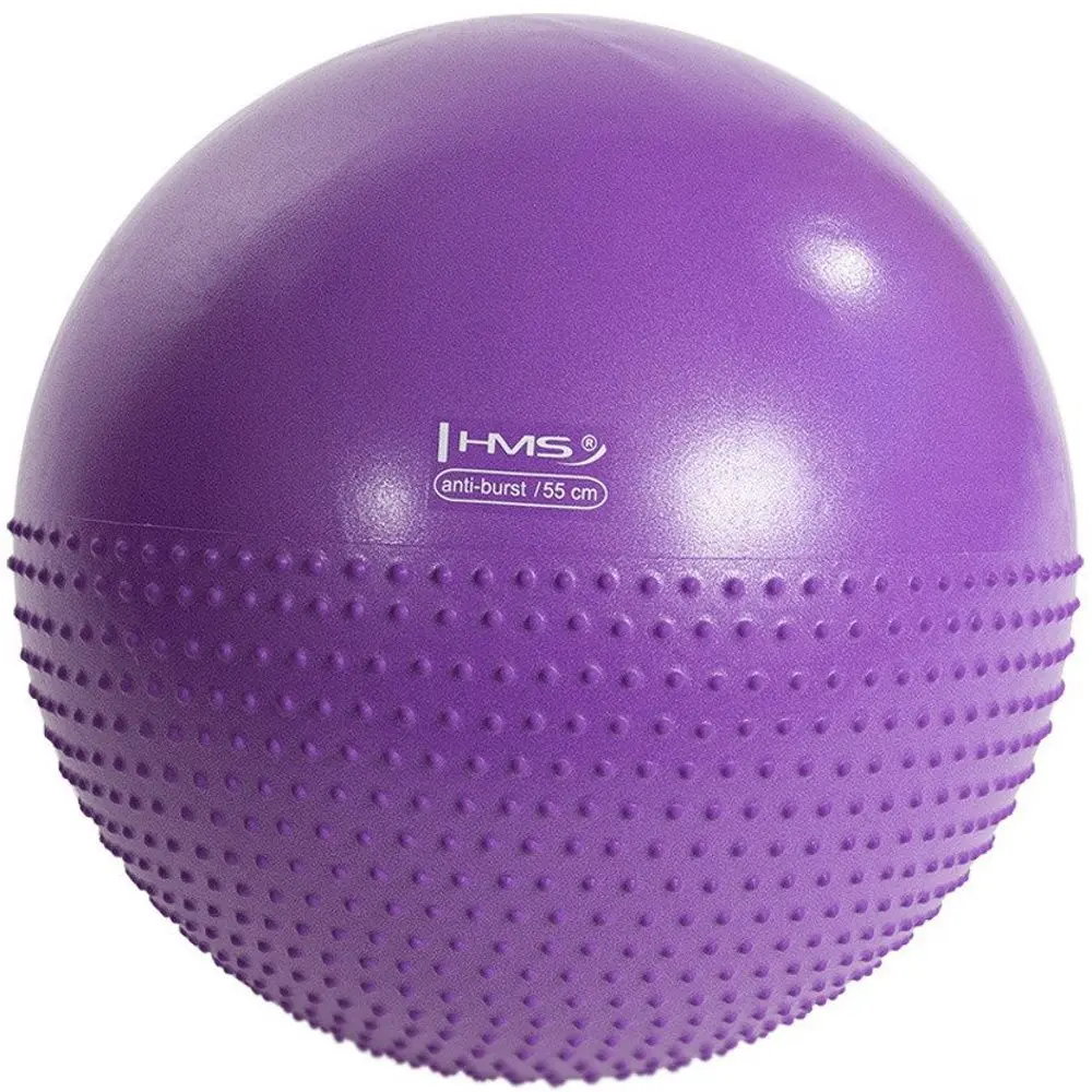Fitball Hms YB03 55cm (Violet)