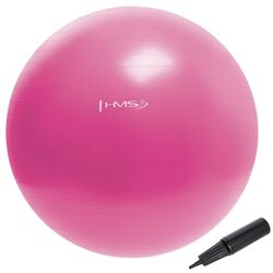 Фитбол Hms YB01 55см (Pink) Thumb
