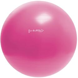 Фитбол Hms YB01 55см (Pink)