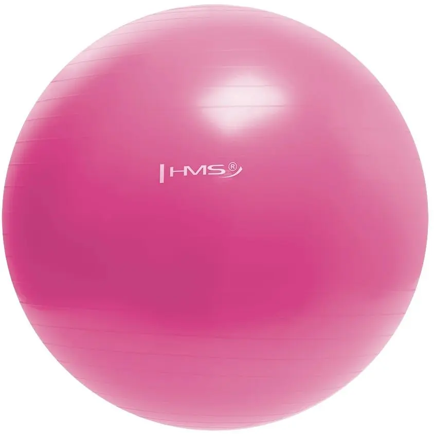 Фитбол Hms YB01 55см (Pink)