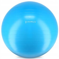 Фитбол Hms YB01 75cm (Blue)