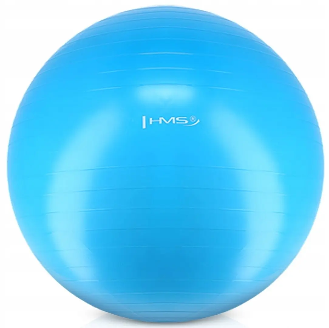 Фитбол Hms YB01 75cm (Blue)