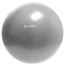Фитбол HMS YB01 (Grey)